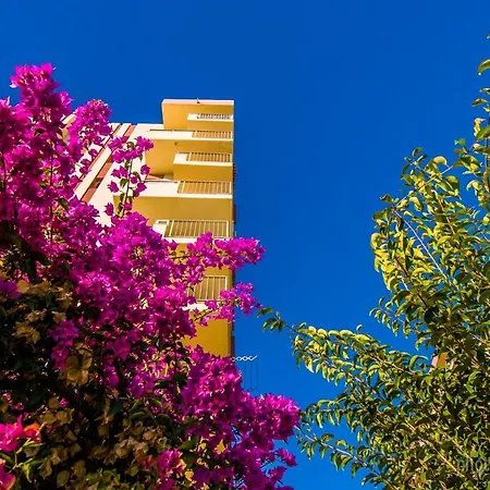 127 Jupiter Estudio. Vista Al Jardin Y La Piscina. Benalmadena